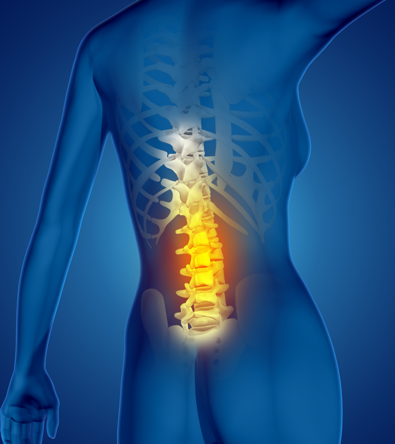 Spinal Disc & Vertebrae Regeneration